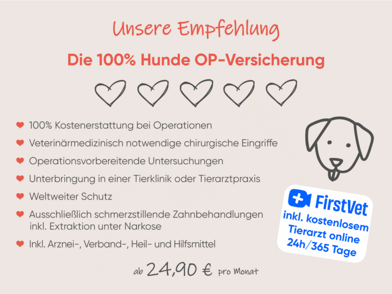 Hunde OP-Versicherung