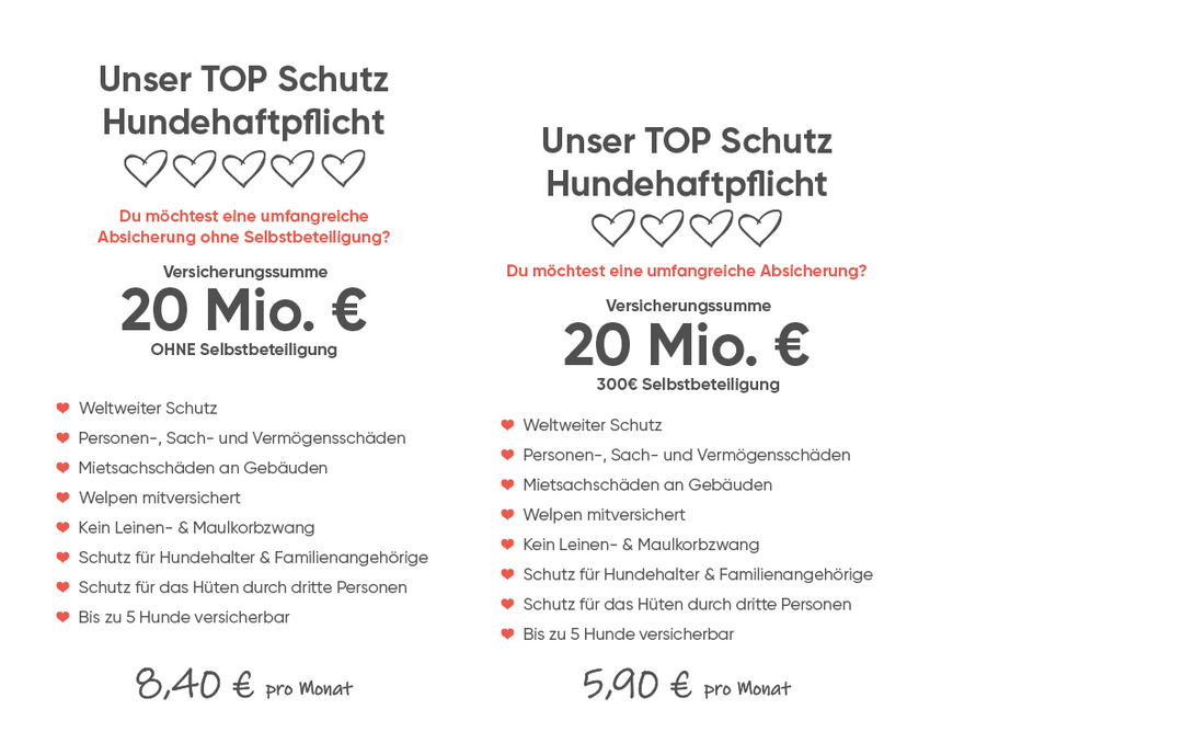 Hundehaftpflichtversicherung Übersicht Tarife