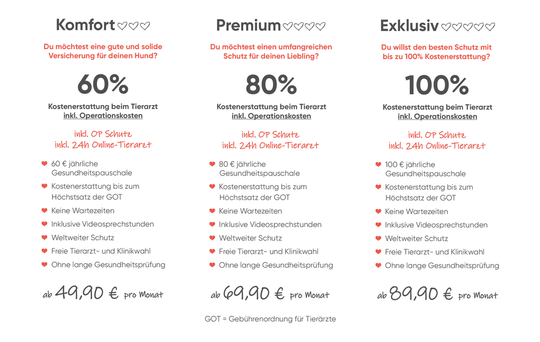 Hundekrankenversicherung Übersicht Tarife