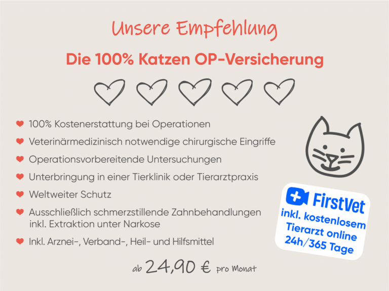 Katzen OP-Versicherung