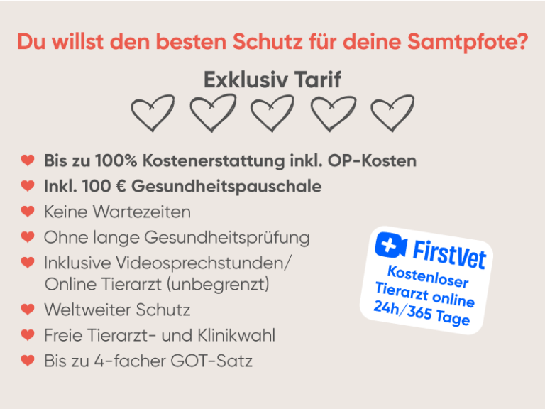 Katzenkrankenversicherung Exklusiv