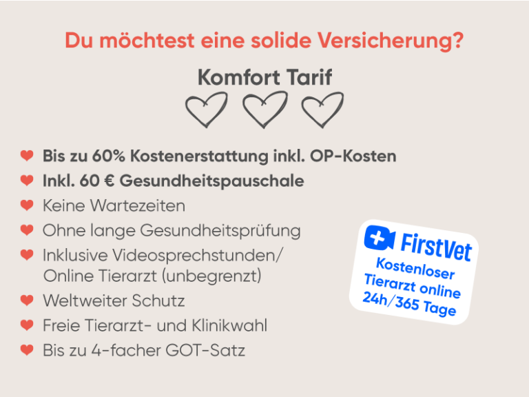 Katzenkrankenversicherung Komfort