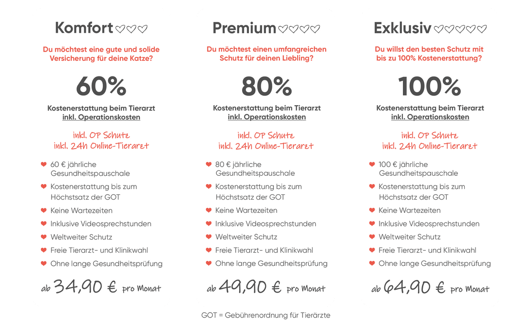 Katzenkrankenversicherung Übersicht Tarife