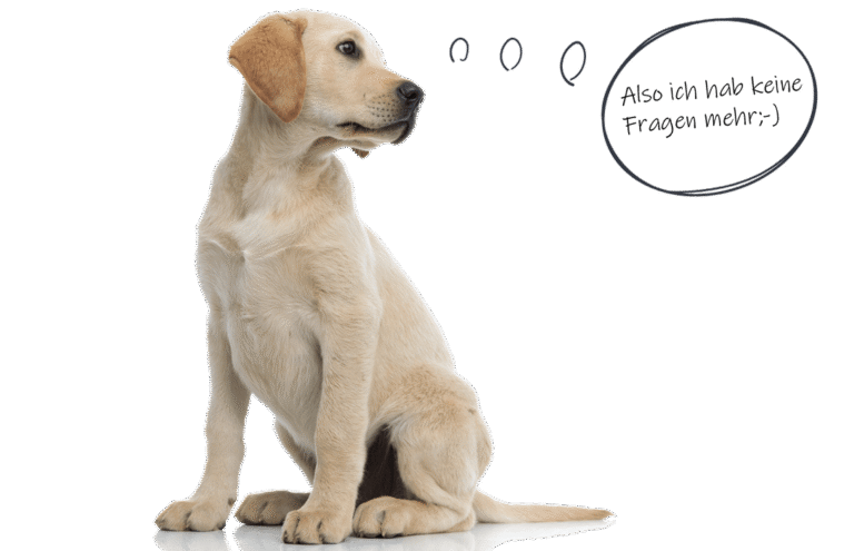 Hund mit Sprechblase