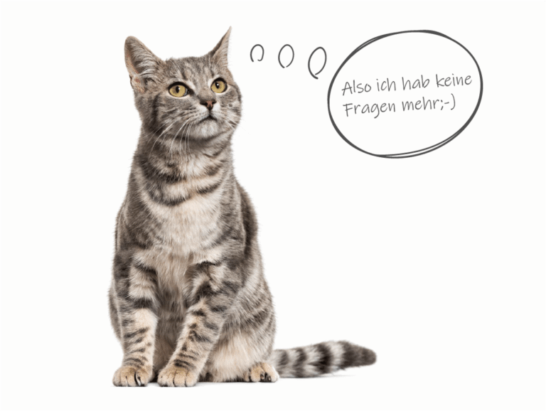 Katze mit Sprechblase